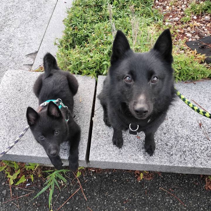 3e19f702 7d56 4e5a bb44 c803cd38a6e9 1752791421256