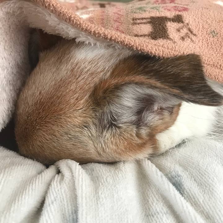 3e1a076d ba07 4cc3 8168 344fe3395c58 1666934507351