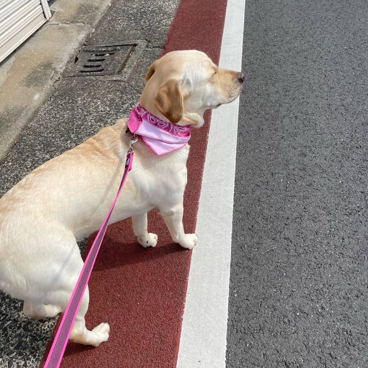 3e1a17fb 1732 4005 8e0c 165151b3451c 1651804350308