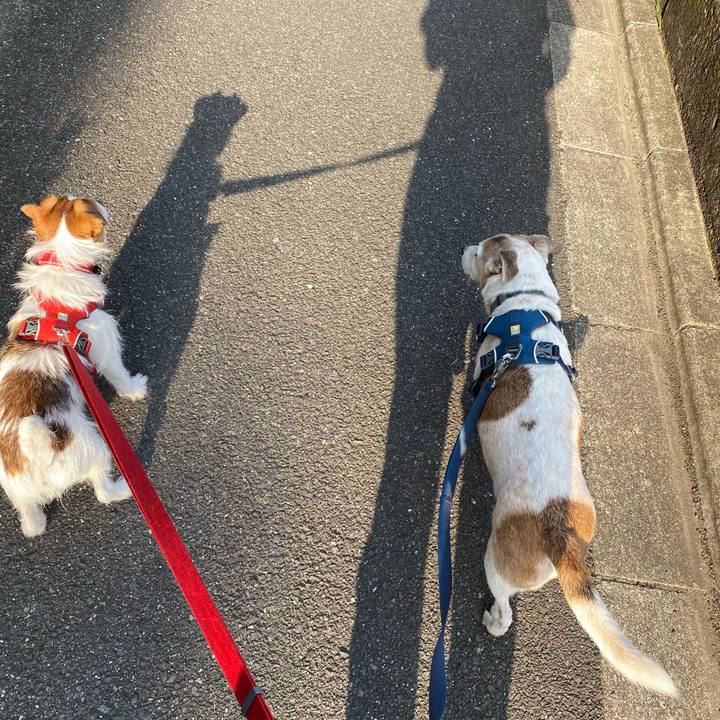 3e1a26b4 8ae2 4e29 8ddb e6069ee79bc1 1650320823790