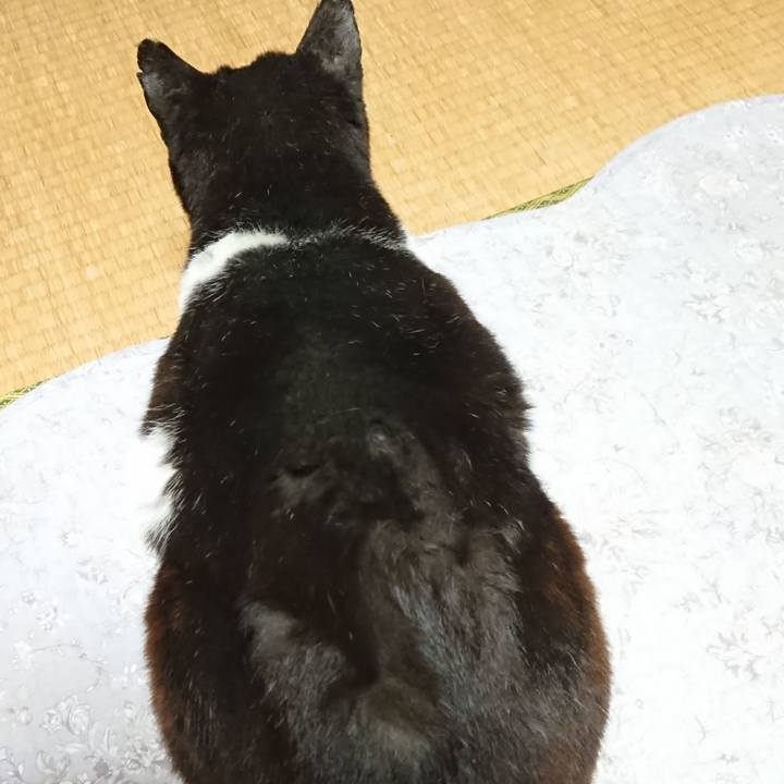 3e1a29e3 c1bd 411b a3c0 31946d02ebb4 1620343551501