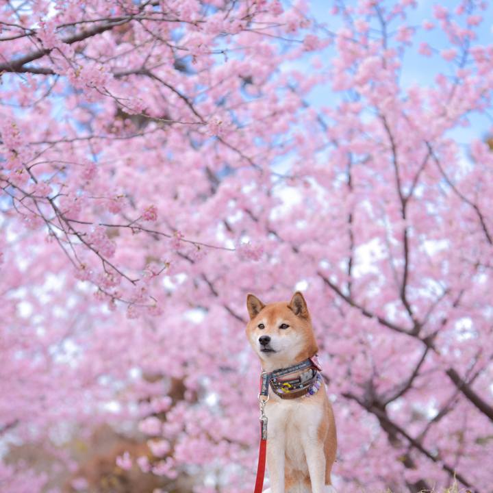 3e1a310f dbad 409d aa8b 222ef310416f 1709695639980