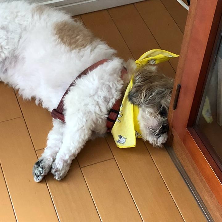 3e1aa7e9 08a5 4501 b996 b6308a96f0db 1532230995567