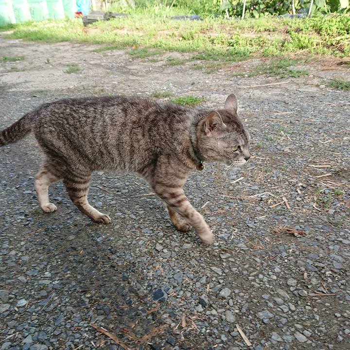 3e1aacae e5cb 404d a62b 0ced6a8e647e 1563526737009