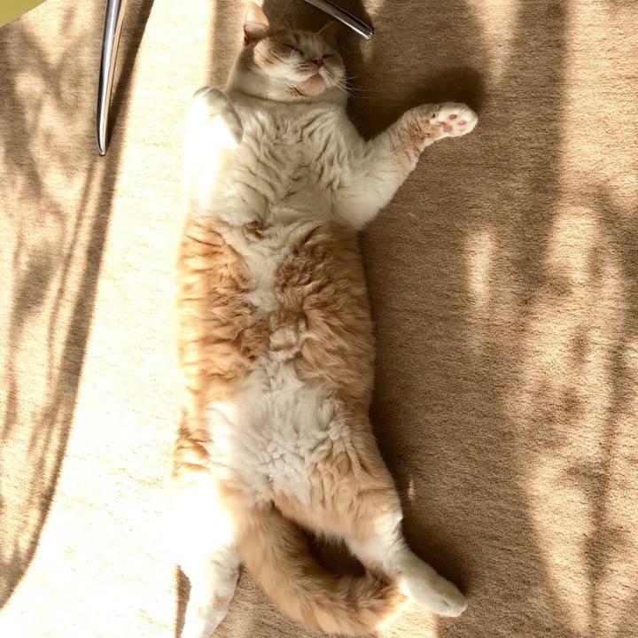 3e1aae94 8ad0 45d3 9ab7 5366880c523c 1516335552619