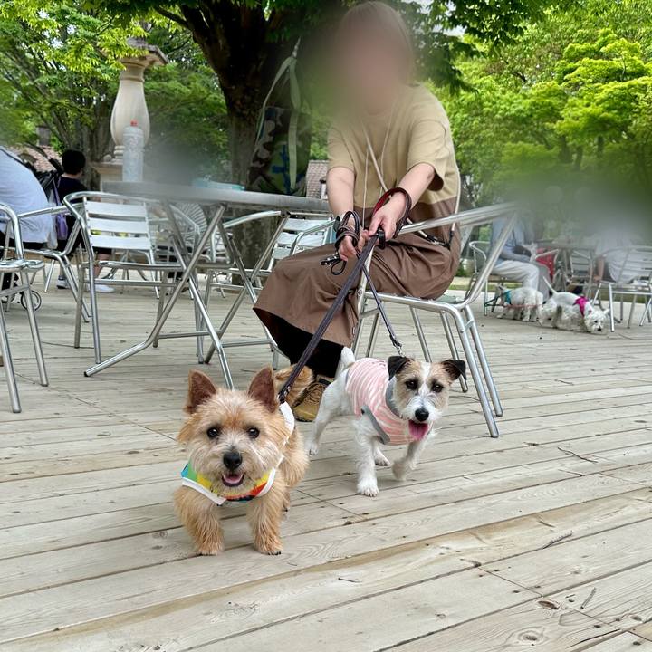 3e1b3f74 8cc0 4f50 8cae 3692a9271992 1716140370855