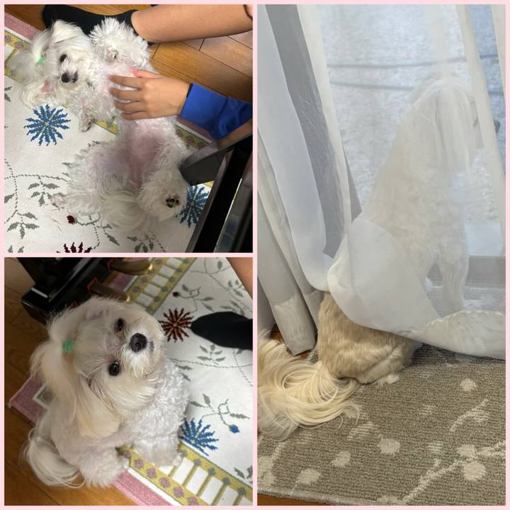 3e1b7412 8984 437e 856c 264e46e76bf3 1760516605899