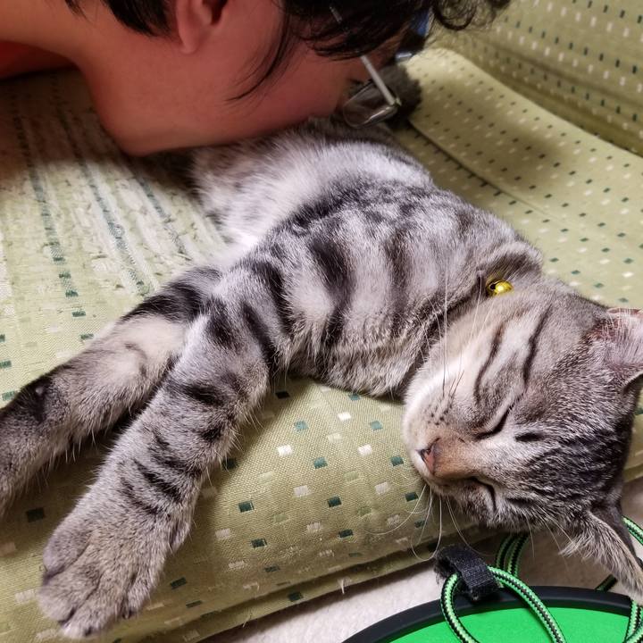 3e1b8a90 bc48 4755 86b3 5ba8ede238d9 1670717763958