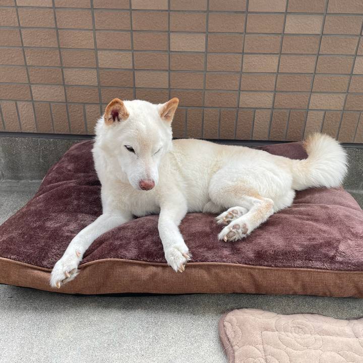 3e1b9051 e8f5 4e04 bff0 84a33adf99ee 1635839976084