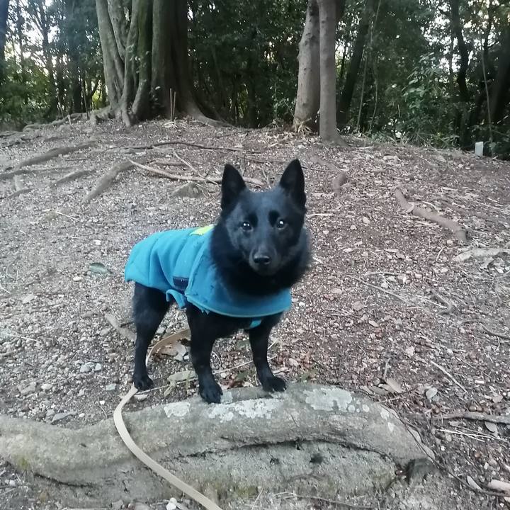 3e1bc153 db6c 47c7 bf6c 61dc3d0df623 1644962557001