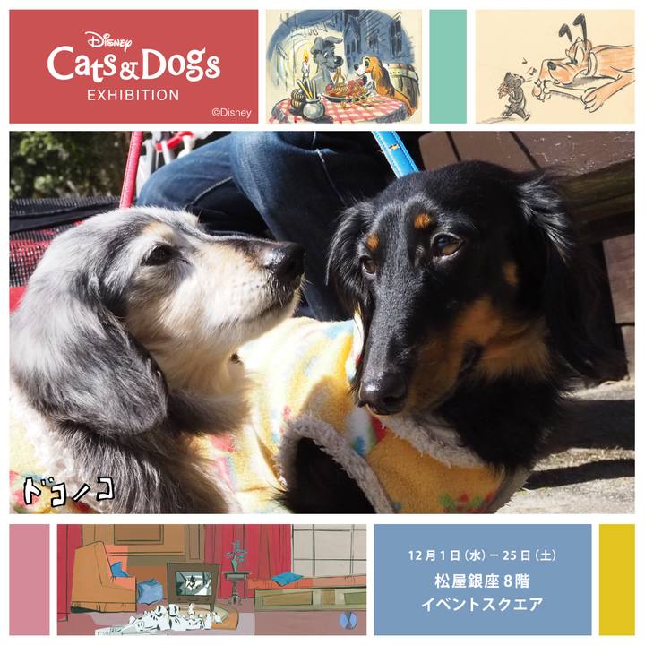 3e1bedac 8cf2 4a07 909f e70b332c81f3 1638325442780