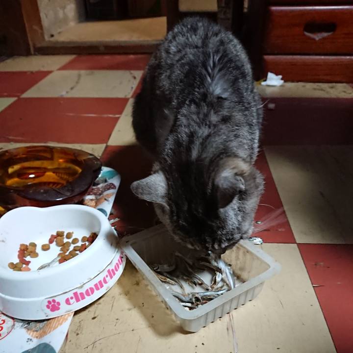 3e1bf236 7914 49b6 b0b0 3b424d5e0ebd 1596016633004