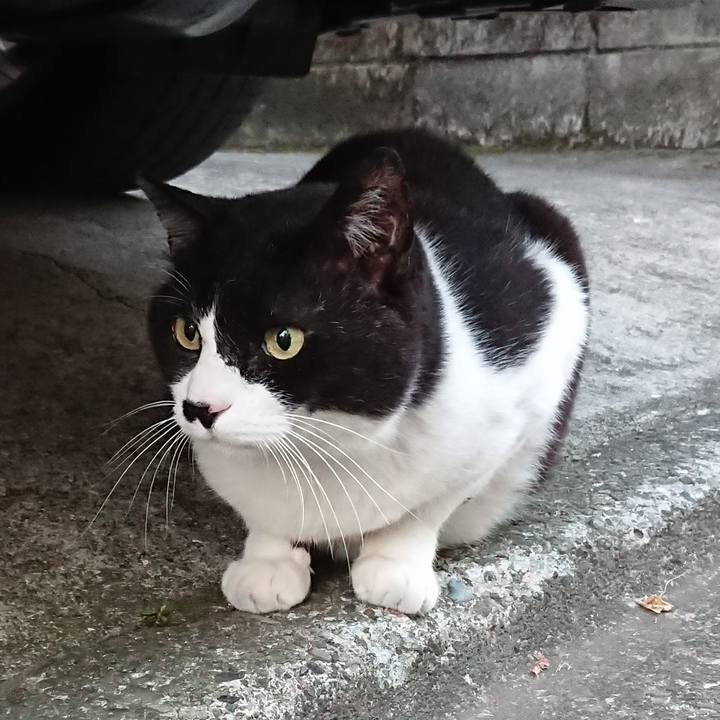 3e1c9e0b 7b9a 4200 af67 beac27a70956 1528022645461