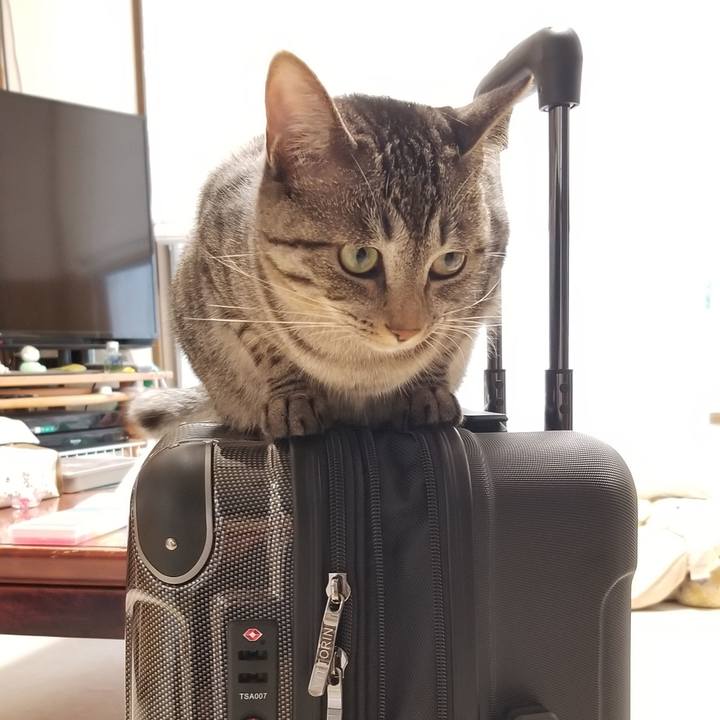 3e1ca2a7 ba78 4790 8863 390d0722d990 1693065345676