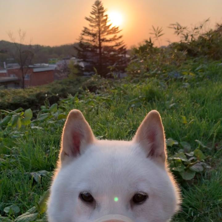 3e1d51a6 3a0f 4414 b678 2293c6166ff8 1557358560266