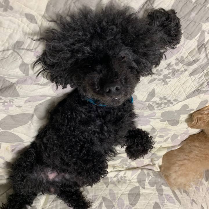 3e1d591f 6138 4b06 b830 729f7c04b294 1595680629813