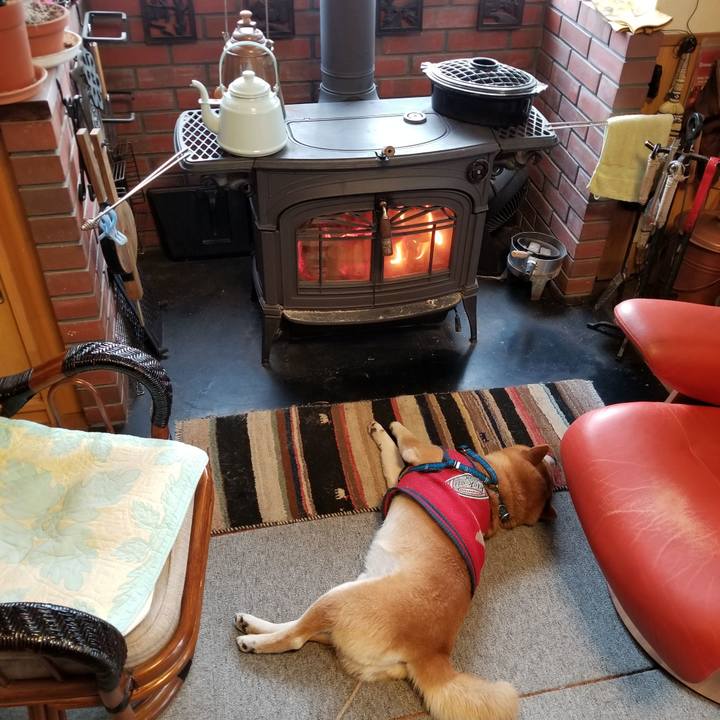 3e1d79fb 3f72 4515 8939 11bafb4009ac 1547941075123