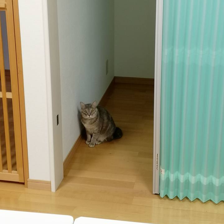 3e1d93c3 6ffd 4f4b 8d89 447dce71b7ad 1550546748356