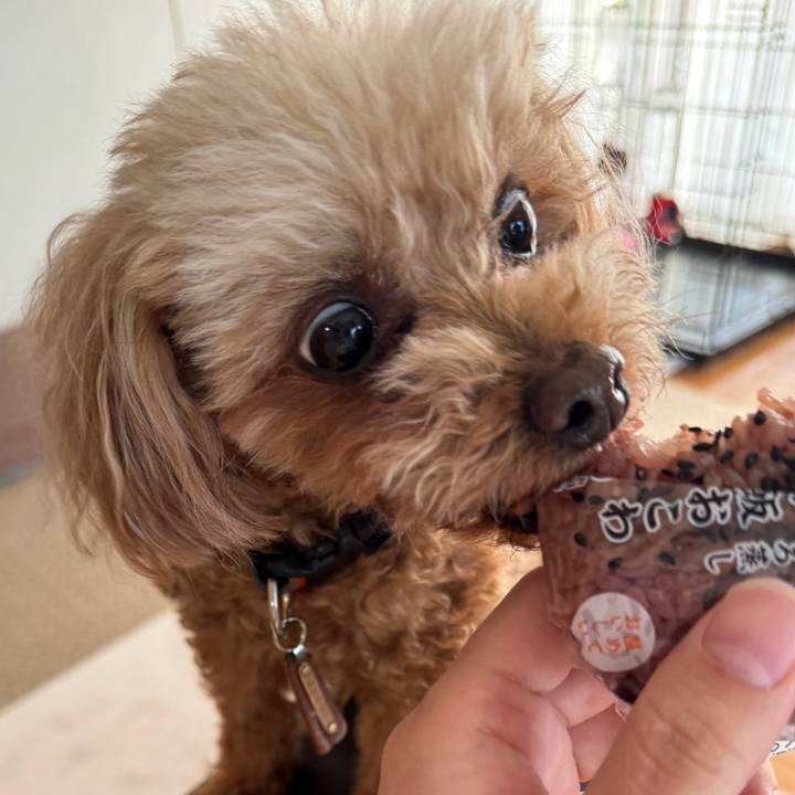 3e1db796 e993 46d7 b8a6 37fa8d5f3096 1773539364820