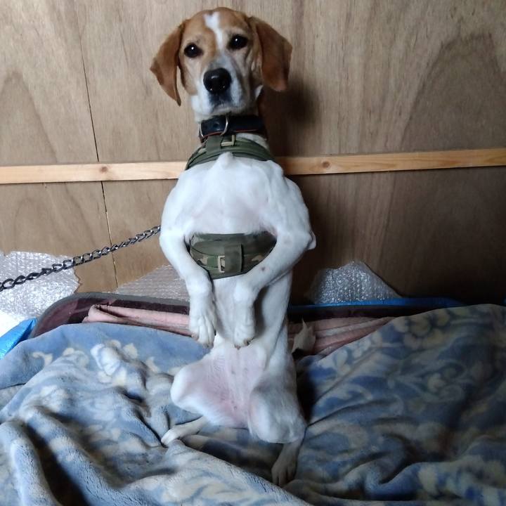 3e1dd0e1 f1d0 420f b53b ef09f7954f52 1683021732599