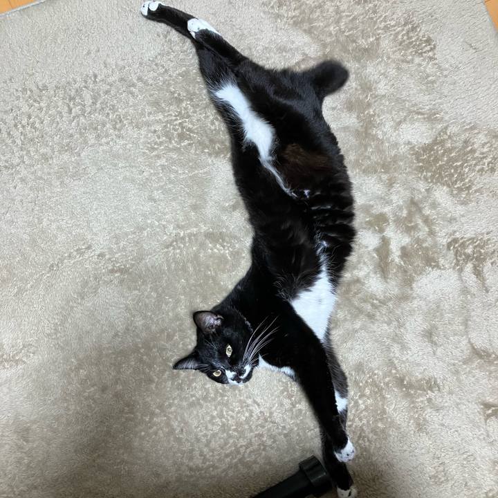 3e1dd4fd b084 4690 b42d 9bbeeae260b8 1733280212261