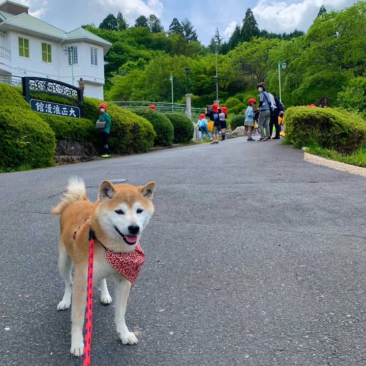 3e1dde58 6728 45c1 8000 b1fe615ded1b 1683883081933