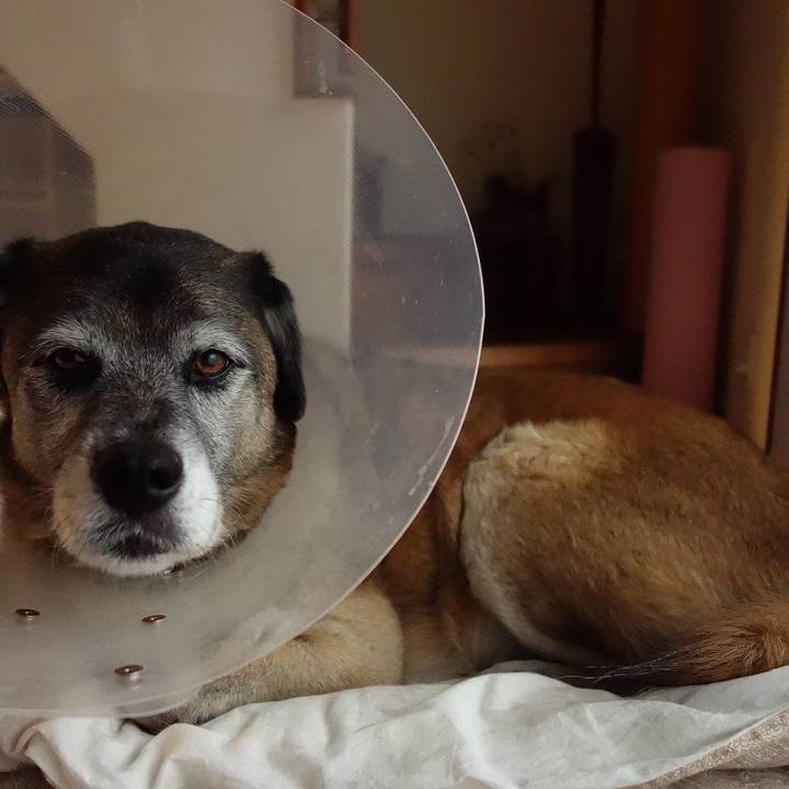 3e1e15e6 21e7 45b1 8ab1 cdae9fc7b6d9 1516408596930