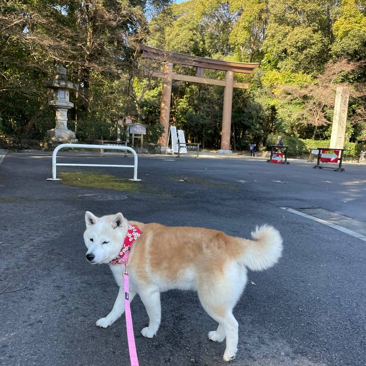 3e1e5a73 5809 4391 9638 5488281c35ab 1644579591676