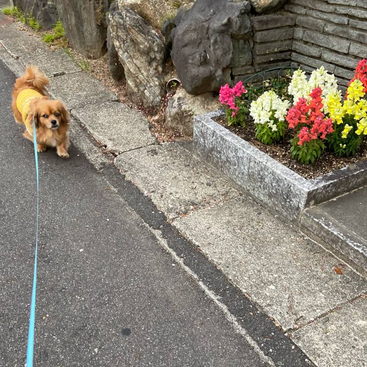 3e1e66ce 5ab8 46da ae21 55d7e46ebb84 1617657170538