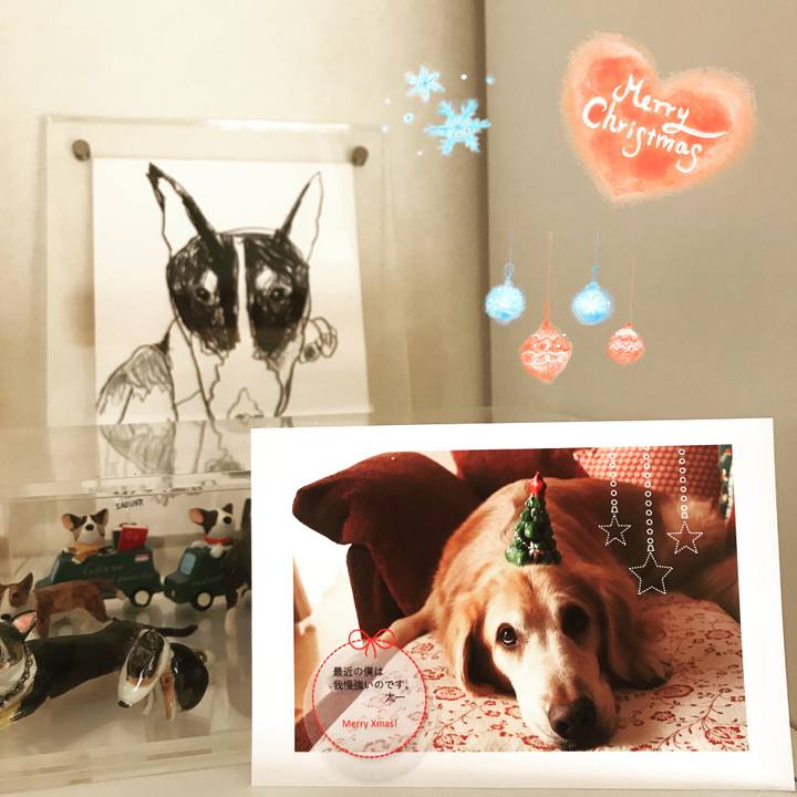 3e1e7ddf 14d2 49cc b669 be7032d2c93e 1513989221139