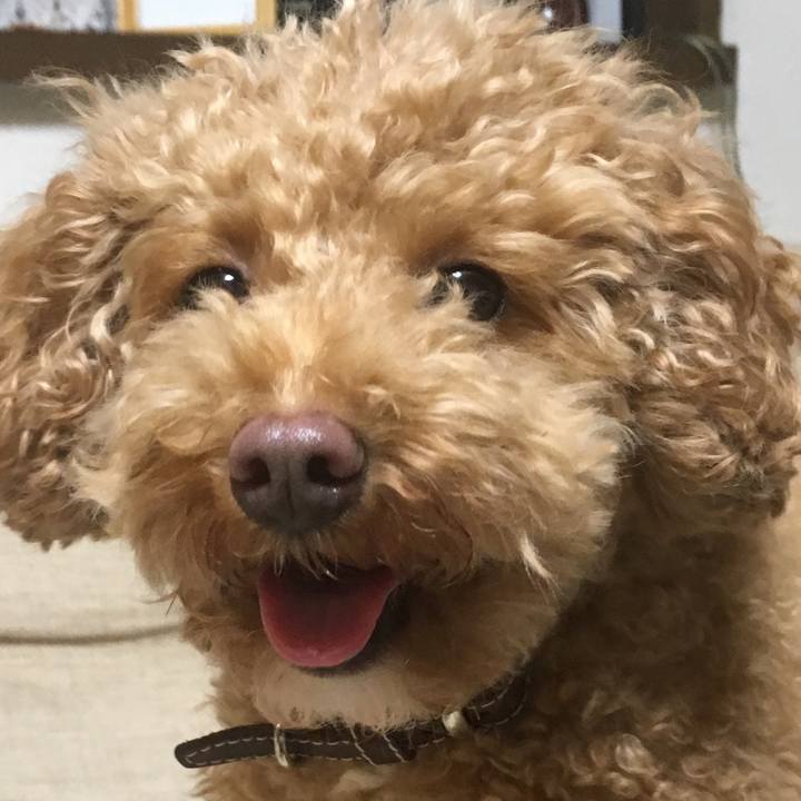 3e1e8fe9 4704 4281 b909 e90424ebdb26 1509840844079