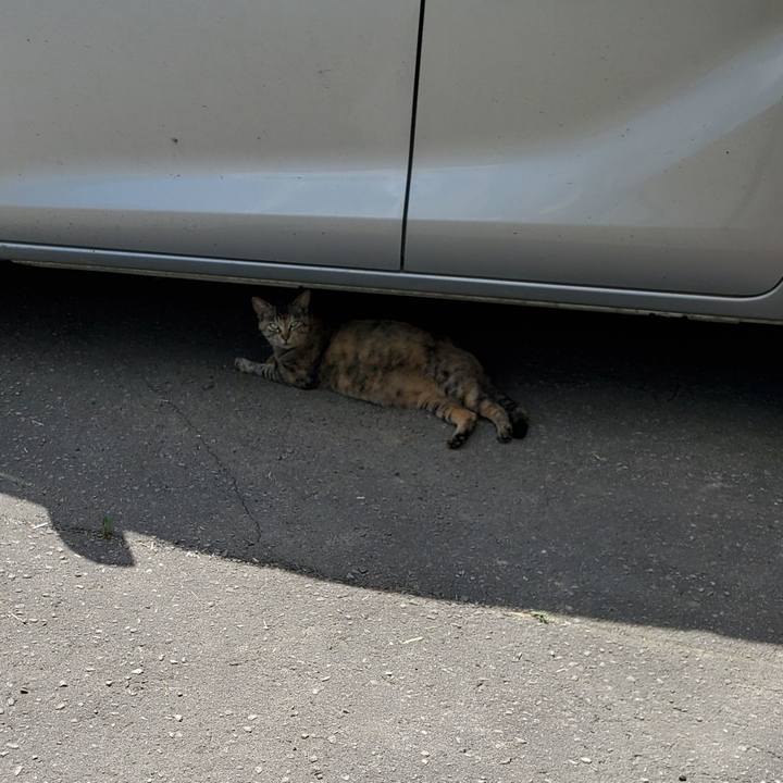 3e1ec1c4 845f 4ff4 a166 3f6837a2bc8f 1719930989229