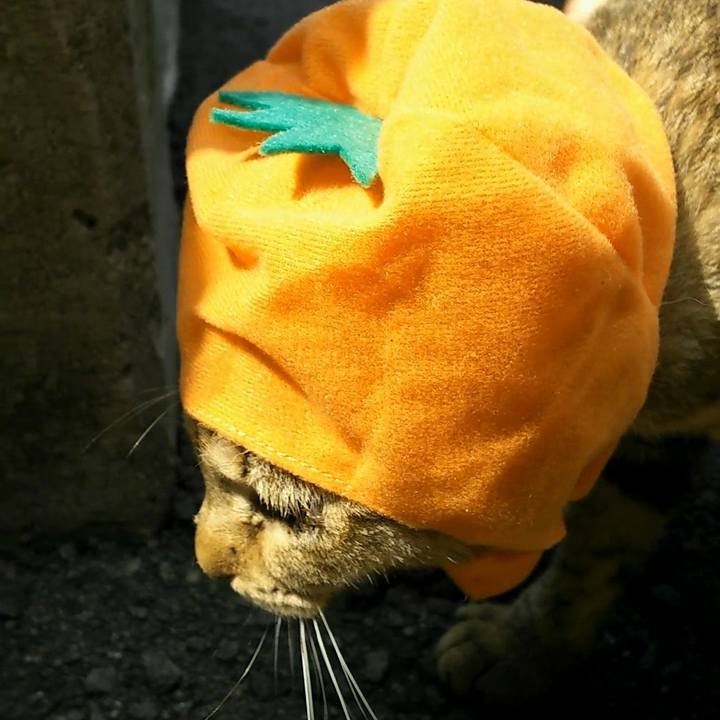 3e1ed0b1 80f7 4f28 aab0 97d6bc9e1bf1 1522560427170