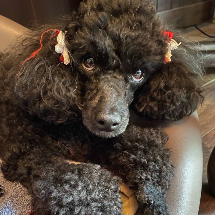 3e1f1d66 258e 4f83 bfd9 192dcdc390c0 1623471204059