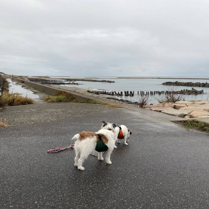 3e1f2306 c0bd 4dff 811e 971595572f80 1730242364392