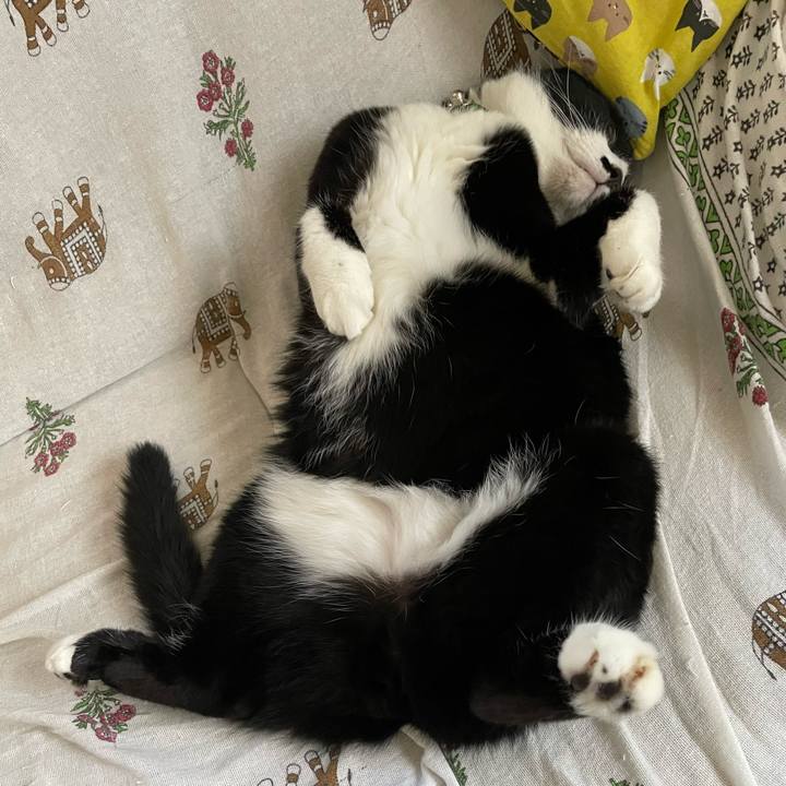 3e1f489d ea27 4aba 8ea2 1ce45e92f7a6 1692590592525