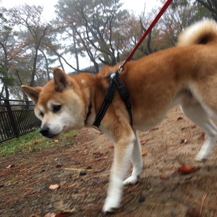 3e1f4a21 1492 4f99 9ed6 25f316cedca8 1574654499272