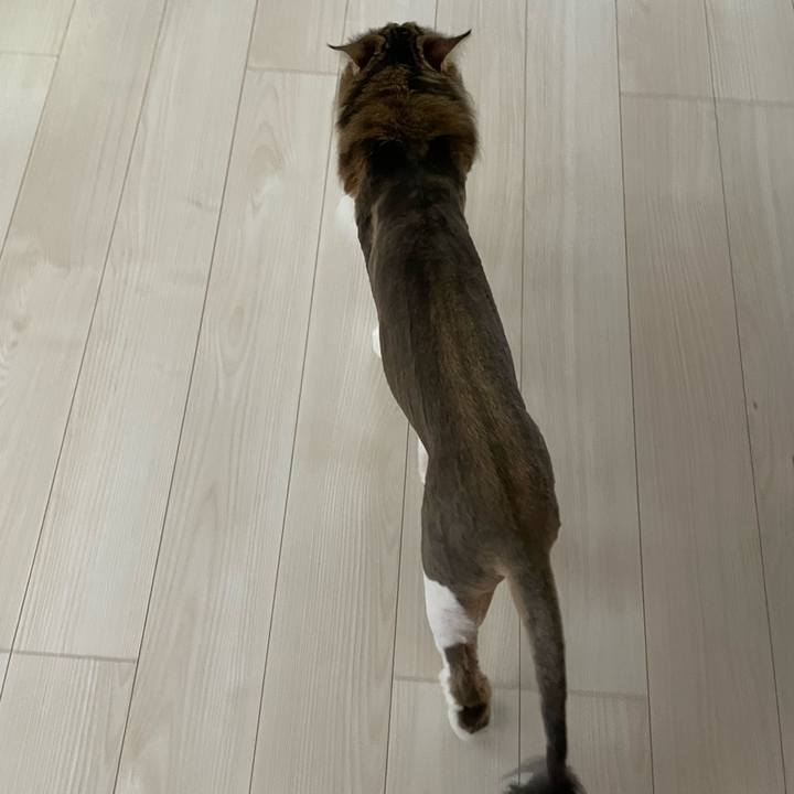 3e1f69a9 03a9 4219 b2e9 3b69c52f0bb8 1719263063168