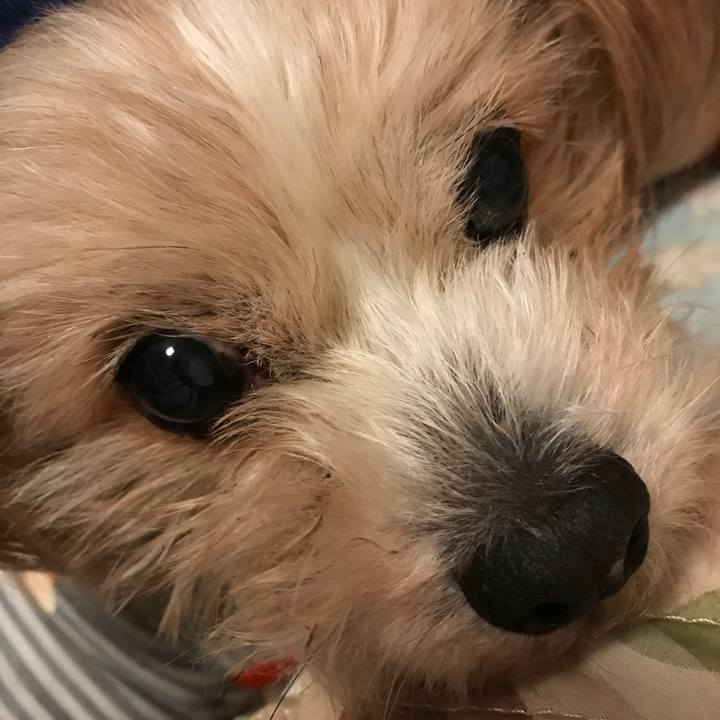 3e1f6b38 bace 4937 821a 0ba88dcedeef 1528479123857