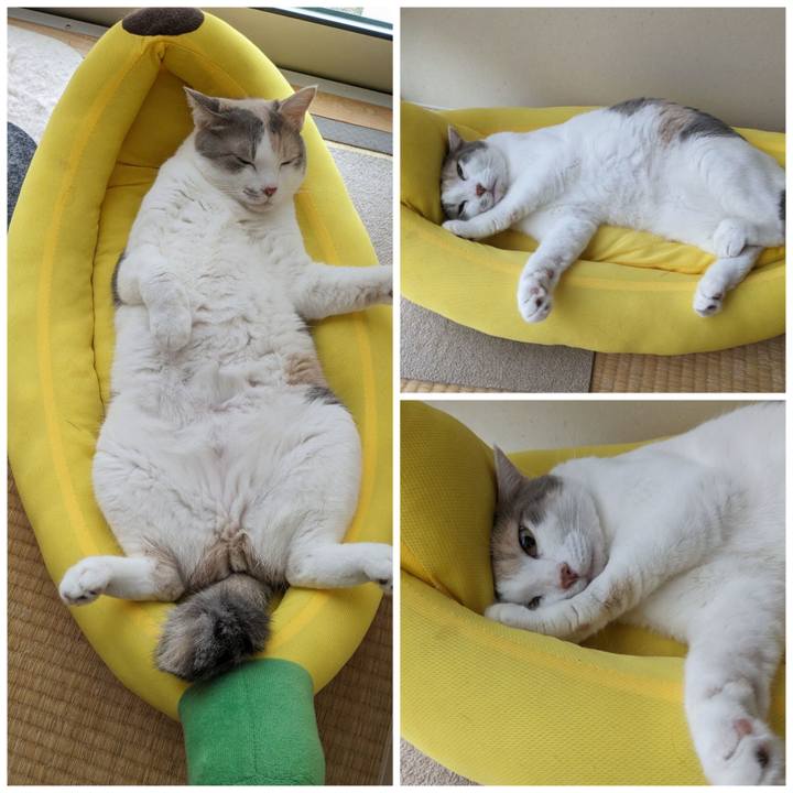 3e1f95bf ba37 4260 ab6a 9784d171e354 1687751849405