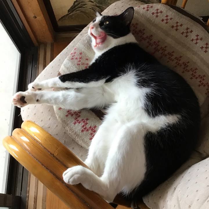 3e1fbb13 04ec 4944 be1a ad159ca2f54d 1718181050461