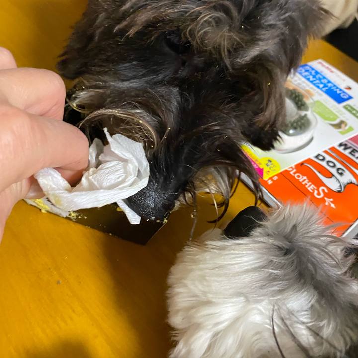 3e203e20 b0de 4538 9fda c5176ab6c32c 1607955453743