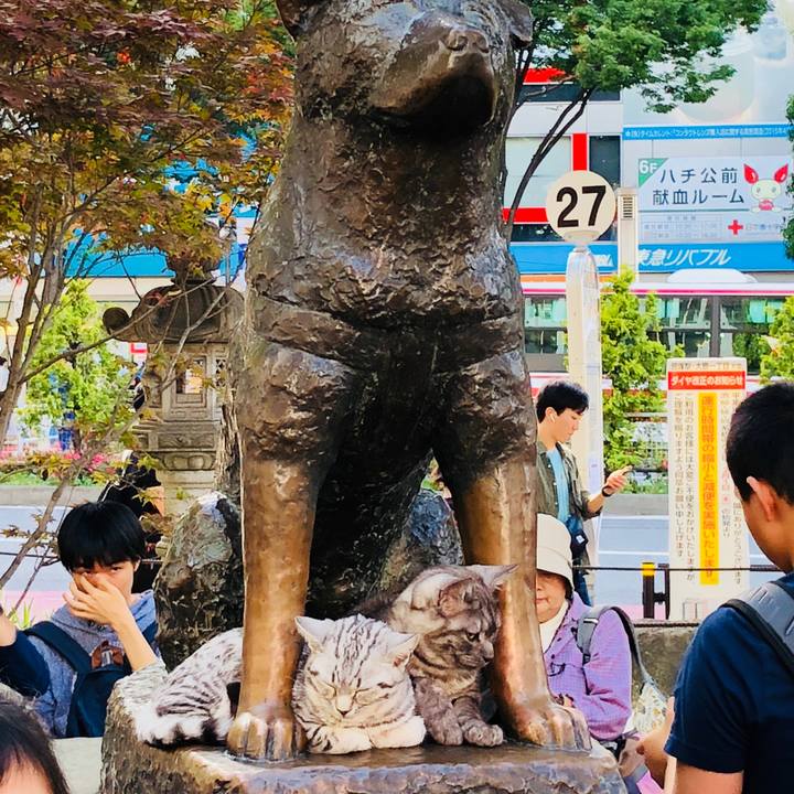 3e207ebf 92ec 418c b280 4eaa08381bb7 1525507132925