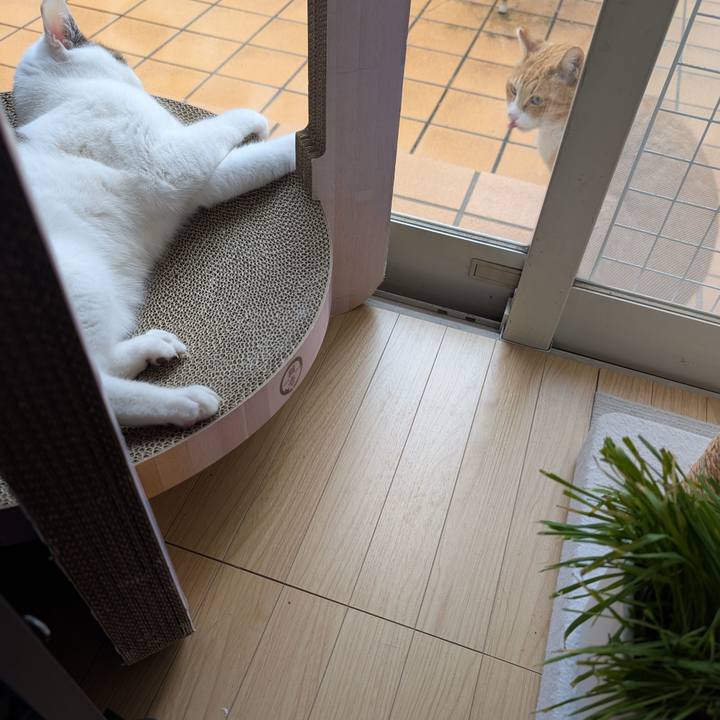 3e20cff9 ca30 43a2 801f d740f4554eca 1743657204706