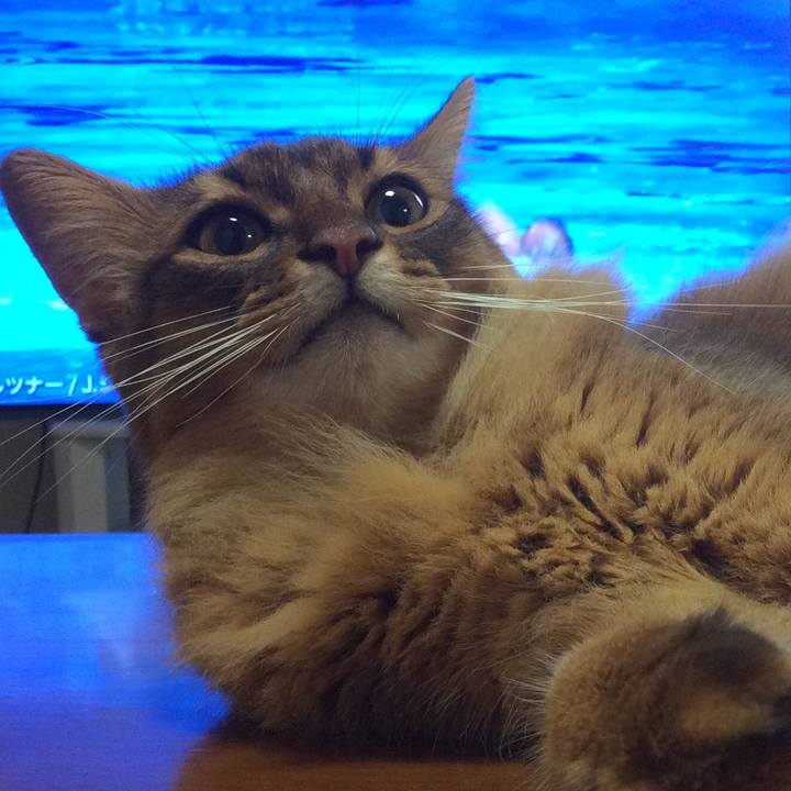 3e2173c5 1a8b 4371 8a52 617ad1ce9410 1627951256634