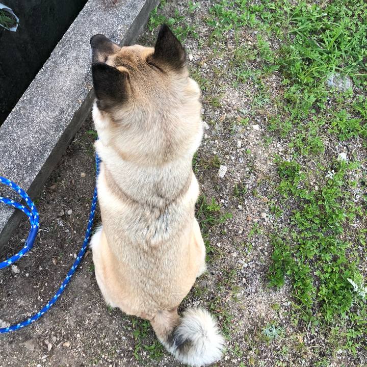 3e2188f3 a2b9 4ae9 8c01 9858c71809da 1624448806388