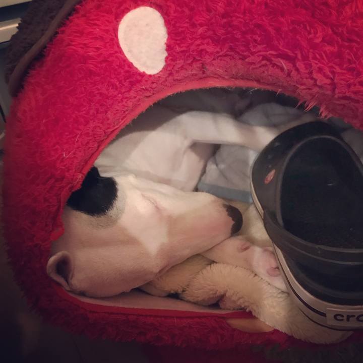 3e219740 275d 418c a969 132e560d5b6e 1515921069358