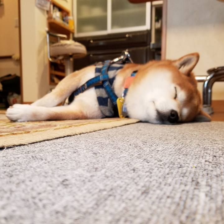 3e21b1e1 f4fd 43c5 b3a3 1df83f07bfef 1549412948863