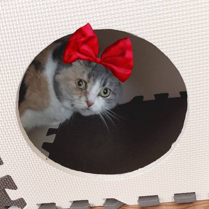 3e21c449 528a 4829 84b4 ad9cf02d4f4c 1563340106331