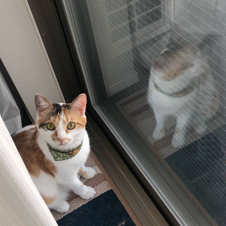 3e21c55f 16d5 40c7 9fef ad8273425e88 1596583831169